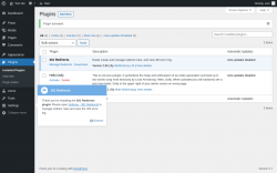 Page screenshot: Plugins &lsaquo; Test site &mdash; WordPress