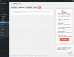 Page screenshot: Settings &rarr; 301 Redirects &rarr; 404 Error Log