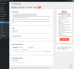 Page screenshot: Settings &rarr; 301 Redirects &rarr; Tools & Options