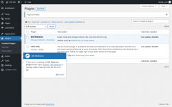 Page screenshot: Plugins &lsaquo; Test site &mdash; WordPress