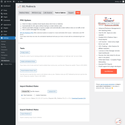 Page screenshot: Settings &rarr; 301 Redirects &rarr; Tools & Options