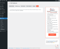 Page screenshot: Settings &rarr; 301 Redirects &rarr; 404 Error Log