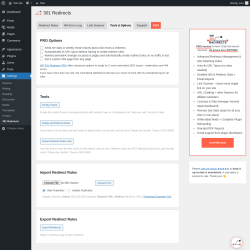 Page screenshot: Settings &rarr; 301 Redirects &rarr; Tools & Options