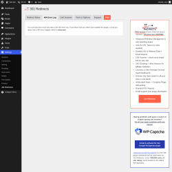 Page screenshot: Settings &rarr; 301 Redirects &rarr; 404 Error Log