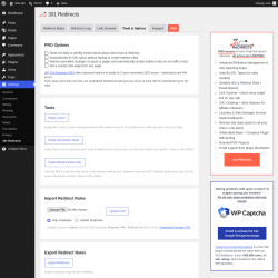Page screenshot: Settings &rarr; 301 Redirects &rarr; Tools & Options