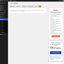 Page screenshot: Settings &rarr; 301 Redirects &rarr; 404 Error Log