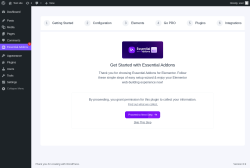 Page screenshot: Essential Addons &lsaquo; Test site &mdash; WordPress