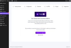 Page screenshot: Essential Addons &lsaquo; Test site &mdash; WordPress