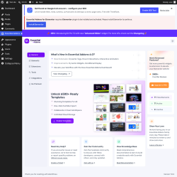 Page screenshot: Essential Addons 1