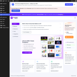 Page screenshot: Essential Addons 1