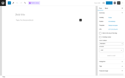 Page screenshot: Add New Post ‹ Test site — WordPress