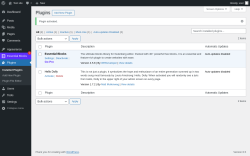 Page screenshot: Plugins ‹ Test site — WordPress