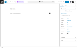 Page screenshot: Add New Post ‹ Test site — WordPress