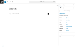 Page screenshot: Add Post ‹ Test site — WordPress