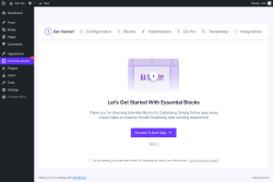 Page screenshot: Quick Setup Page ‹ Test site — WordPress