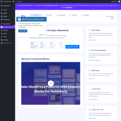 Page screenshot: Essential Blocks 1