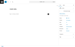 Page screenshot: Add Post &lsaquo; Test site &mdash; WordPress