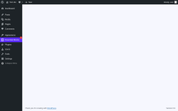 Page screenshot: Quick Setup Page &lsaquo; Test site &mdash; WordPress