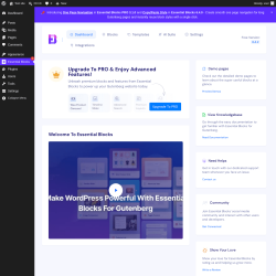 Page screenshot: Essential Blocks 1