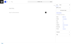 Page screenshot: Add Post &lsaquo; Test site &mdash; WordPress