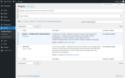 Page screenshot: Plugins &lsaquo; Test site &mdash; WordPress