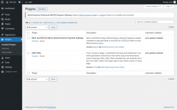 Page screenshot: Plugins ‹ Test site — WordPress