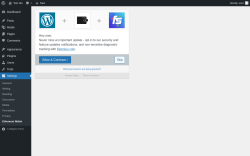 Page screenshot: Ethereum Wallet Settings ‹ Test site — WordPress