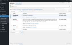Page screenshot: Plugins &lsaquo; Test site &mdash; WordPress