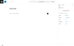 Page screenshot: Add Page ‹ Test site — WordPress
