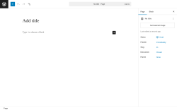 Page screenshot: Add Page ‹ Test site — WordPress