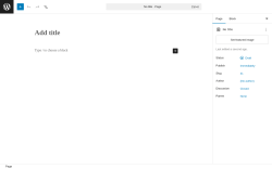 Page screenshot: Add Page &lsaquo; Test site &mdash; WordPress