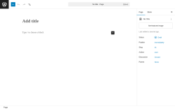 Page screenshot: Add Page &lsaquo; Test site &mdash; WordPress