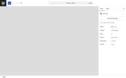Page screenshot: Add Page &lsaquo; Test site &mdash; WordPress