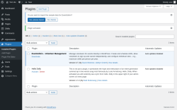 Page screenshot: Plugins &lsaquo; Test site &mdash; WordPress