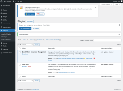 Page screenshot: Plugins &lsaquo; Test site &mdash; WordPress