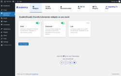 Page screenshot: Eventful For Elementor &lsaquo; Test site &mdash; WordPress