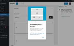 Page screenshot: Widgets &lsaquo; Test site &mdash; WordPress