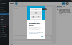 Page screenshot: Widgets &lsaquo; Test site &mdash; WordPress