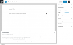 Page screenshot: Add New Page ‹ Test site — WordPress