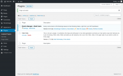 Page screenshot: Plugins &lsaquo; Test site &mdash; WordPress