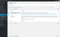 Page screenshot: Plugins &lsaquo; Test site &mdash; WordPress
