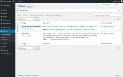 Page screenshot: Plugins &lsaquo; Test site &mdash; WordPress