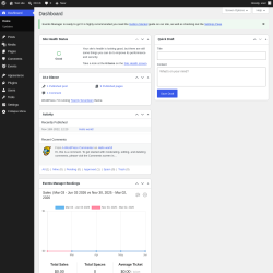 Page screenshot: Dashboard &lsaquo; Test site &mdash; WordPress