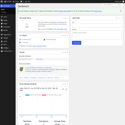 Page screenshot: Dashboard &lsaquo; Test site &mdash; WordPress
