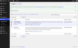 Page screenshot: Plugins &lsaquo; Test site &mdash; WordPress