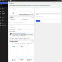 Page screenshot: Dashboard &lsaquo; Test site &mdash; WordPress