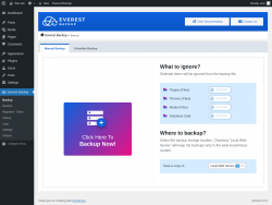 Page screenshot: Everest Backup