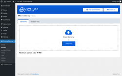 Page screenshot: Everest Backup → Restore