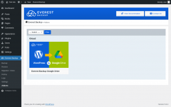 Page screenshot: Everest Backup → Addons