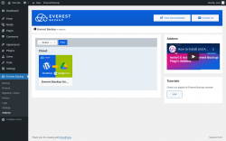 Page screenshot: Everest Backup → Addons